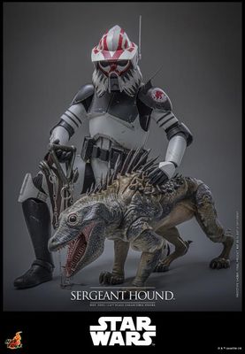 **PRE ORDER** Hot Toys 1:6 Sergeant Hound (THE CLONE WARS) (DELUXE EDITION)