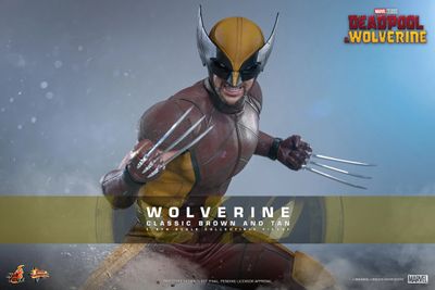 HOT TOYS 1/6 Wolverine (Classic Brown and Tan) HOT TOYS 1/6 Wolverine (Classic Brown and Tan)