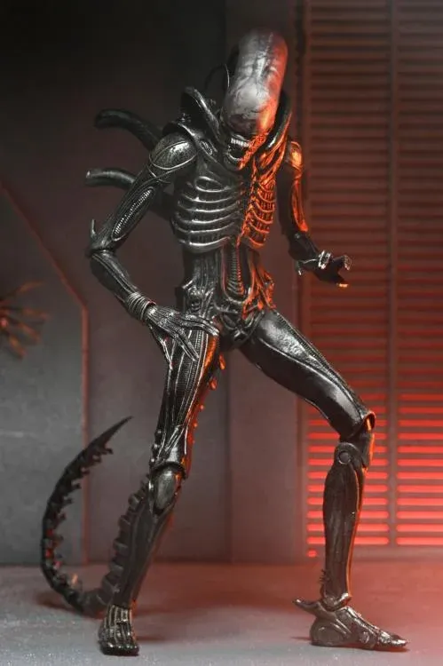 NECA 7 NECA 7" Scale Alien: Romulus Ultimate Alien Xenomorph XX121