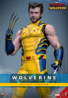 HOT TOYS 1/6 WOLVERINE (DEADPOOL AND WOLVERINE VER) DELUXE EDITION