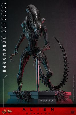 Hot Toys Alien Romulus Scorched Xenomorph