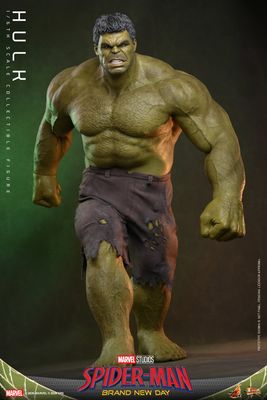 ***PRE ORDER*** Hot Toys 1/6th Scale Spider-Man Brand New Day Hulk Collectible Figure ***PRE ORDER*** Hot Toys 1/6th Scale Spider-Man Brand New Day Hulk Collectible Figure