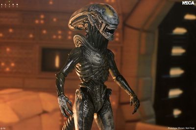 ***PRE ORDER*** NECA 7 ***PRE ORDER*** NECA 7" Scale Alien: Earth - Ultimate Wendy's Xenomorph Action Figure