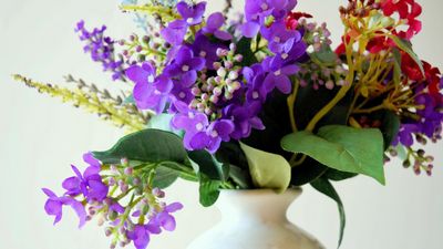 flowers