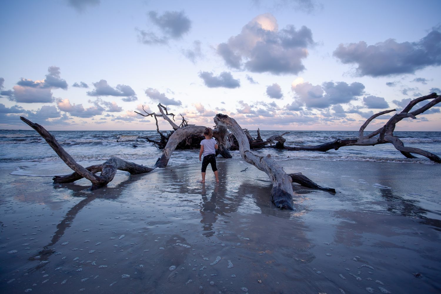 Driftwood and Seasalt bar soap