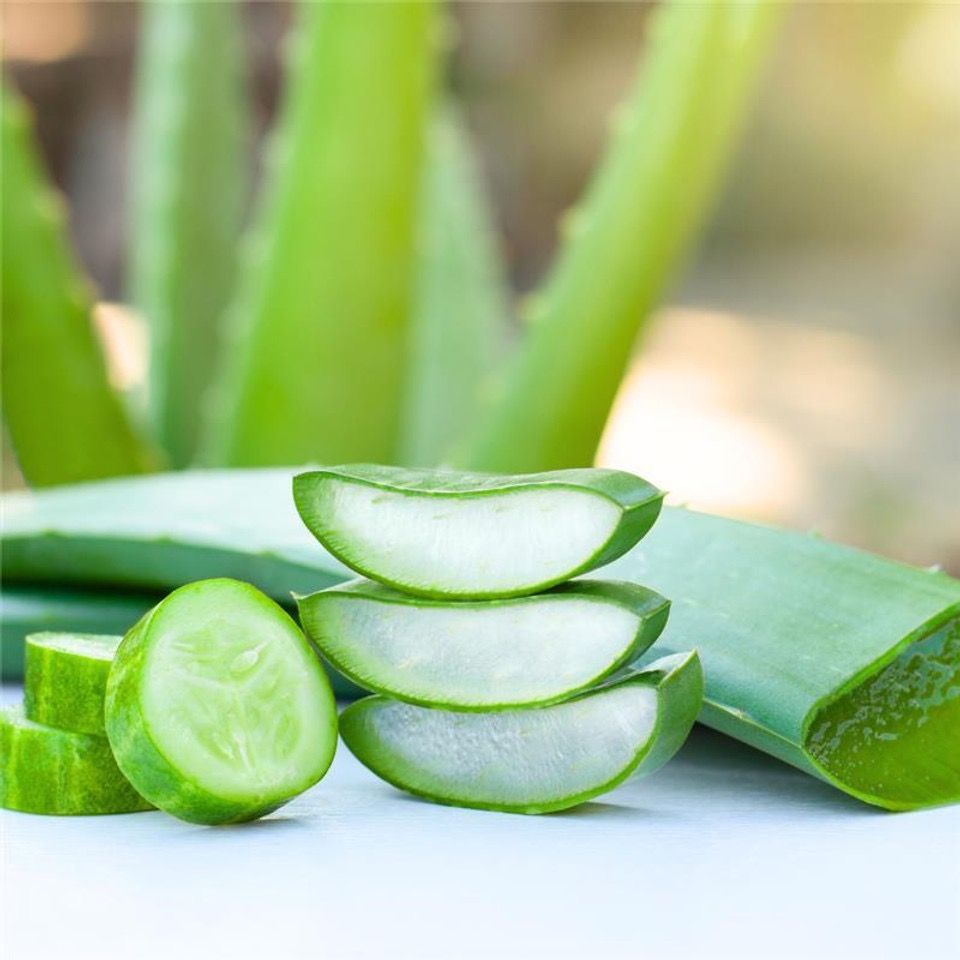 Aloe Vera and Cucumber  bar soap
