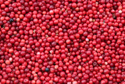 Cranberry Wishes wax melt crumbles 6 oz