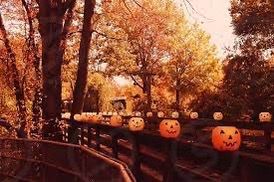 Pumpkin Apple 12 oz jar candle- SQUARE JAR ONLY