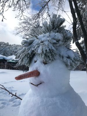 Jack Frost 12 oz jar candle