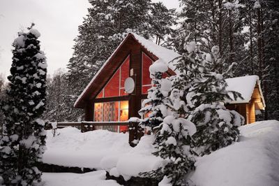 Christmas Cabin