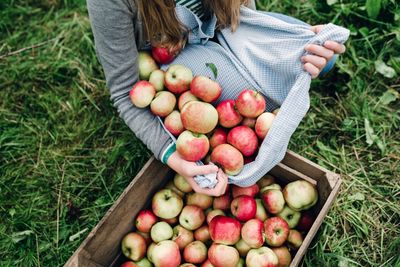 Apple Butter Caramel 6 oz crumble melts