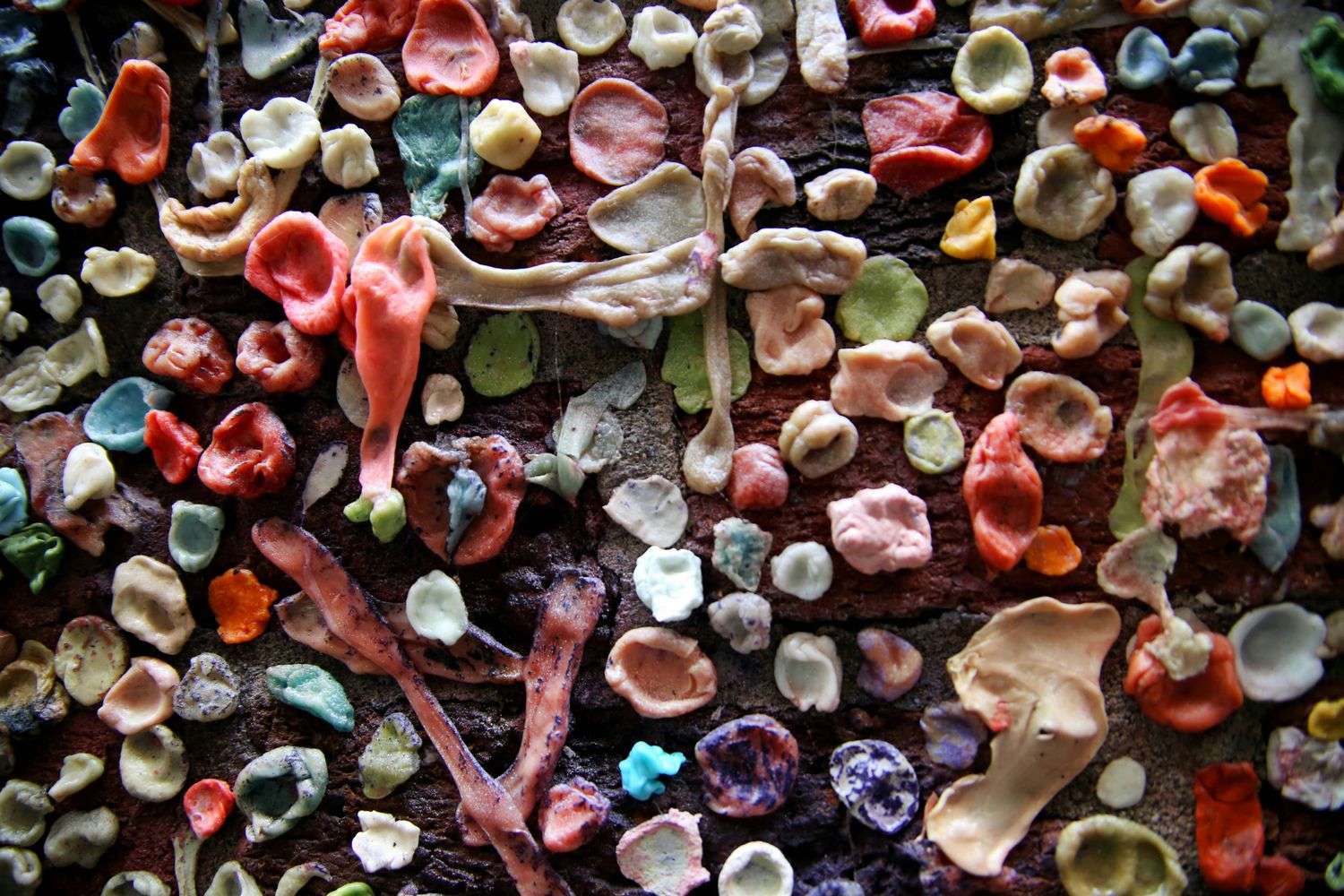 Fruity pebbles  8oz tin candle