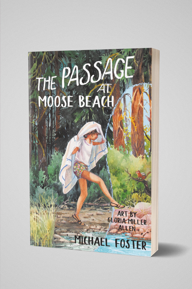 The Passage at Moose Beach | Paperback