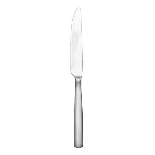 Simple Stainless Steel Dinner Knife