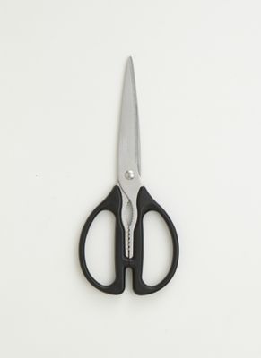 Long Japanese Shears