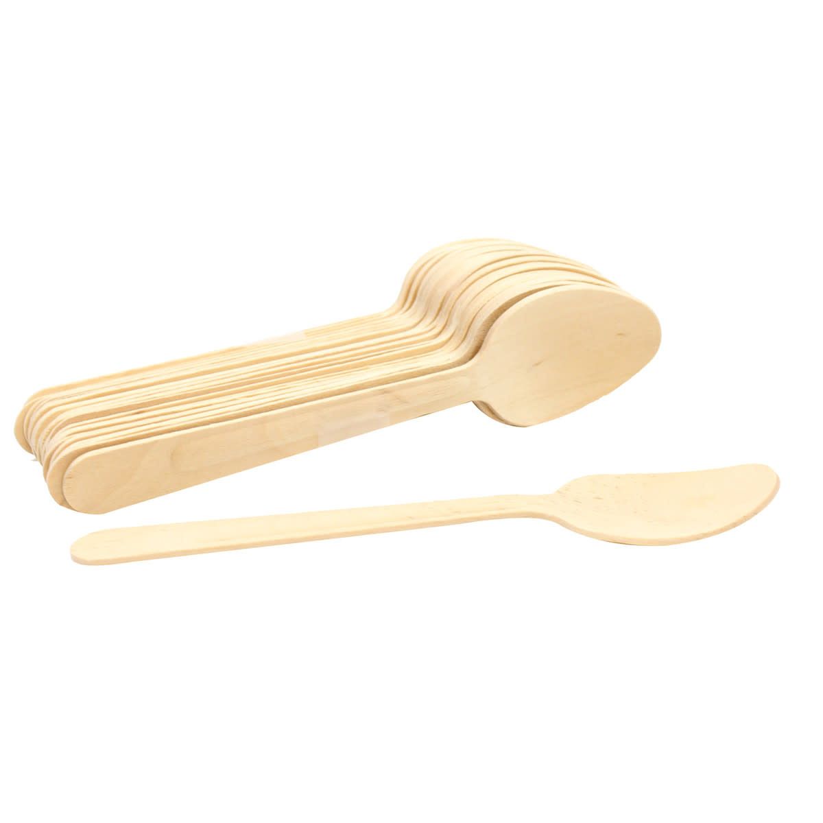 Compostable Spoons set of 25