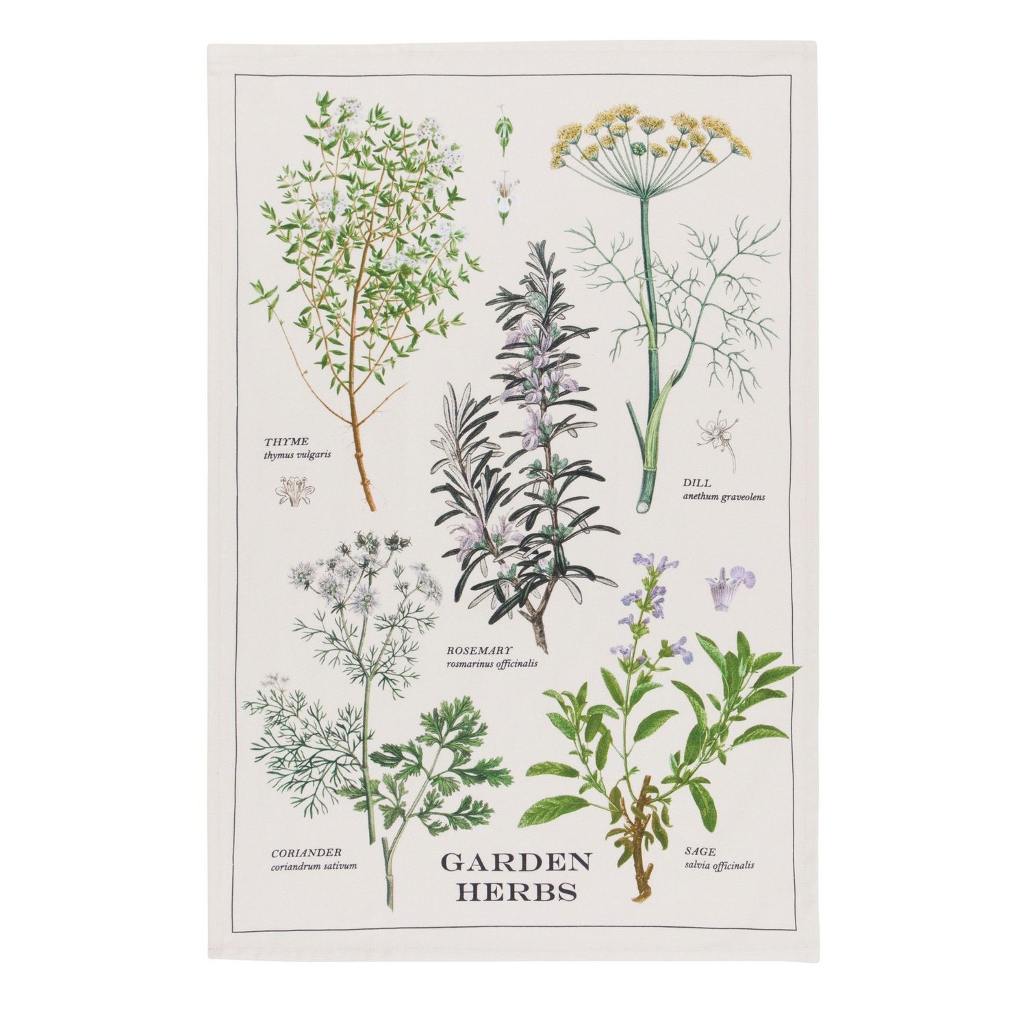 Herbs Dishtowel