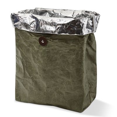Green Tyvek Lunch Bag
