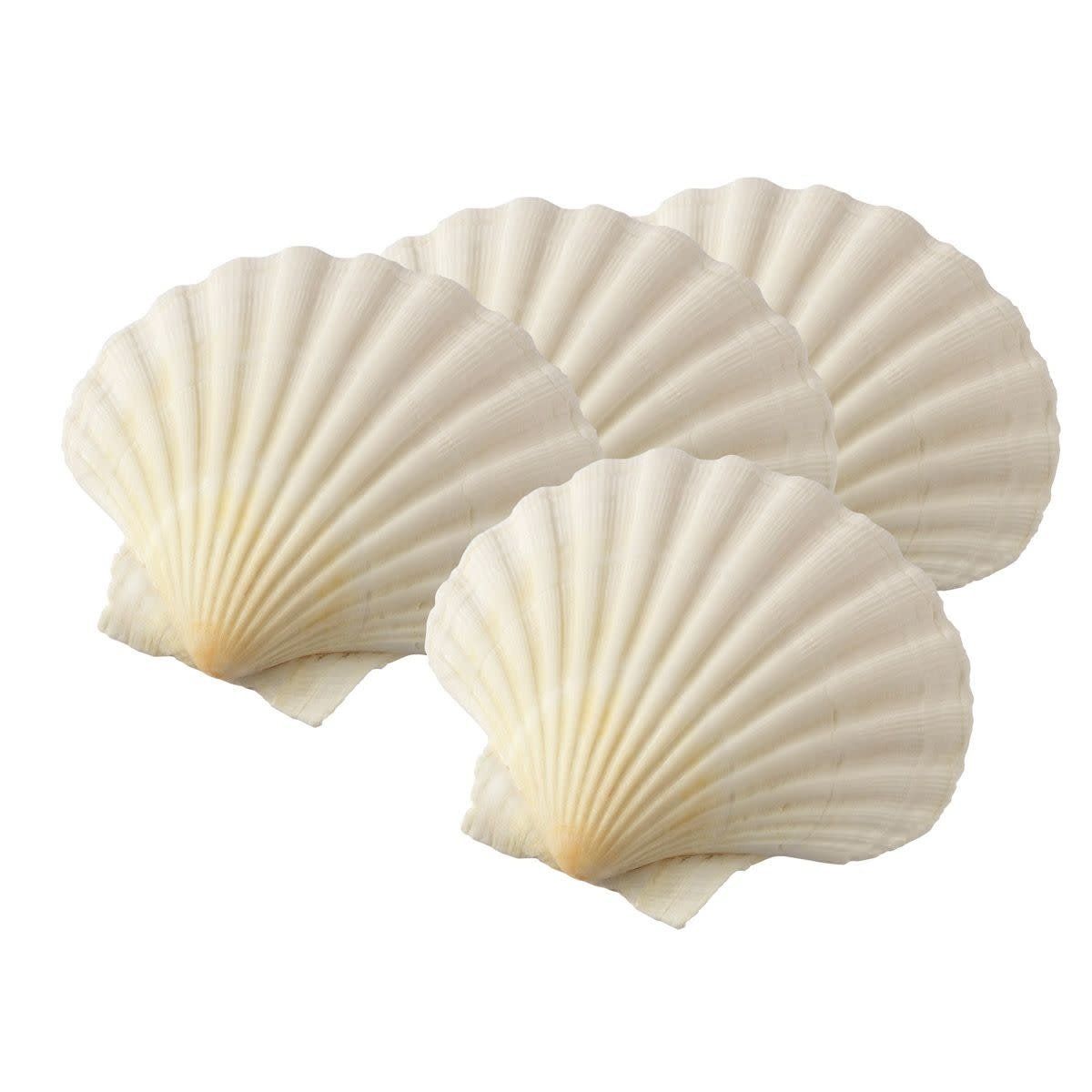 Baking Shells, set of 4