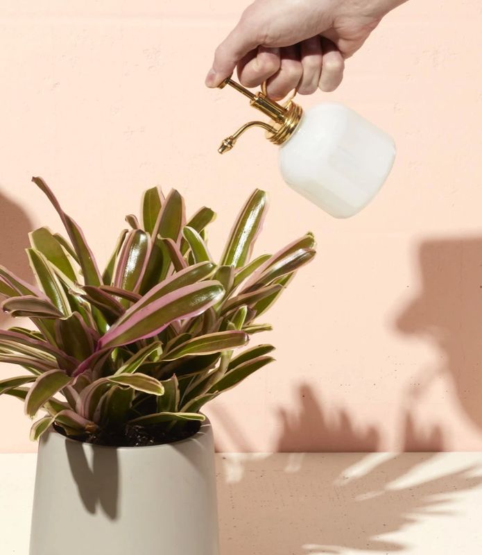 Milk Glass Plant Mister
