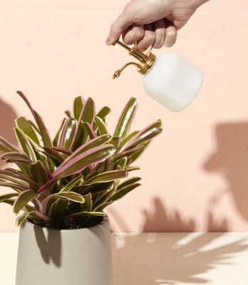 Milk Glass Plant Mister