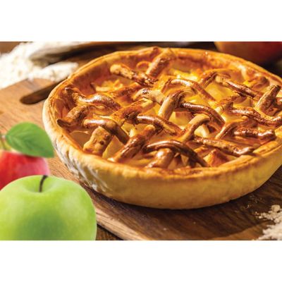 9" Metal Pie Pan