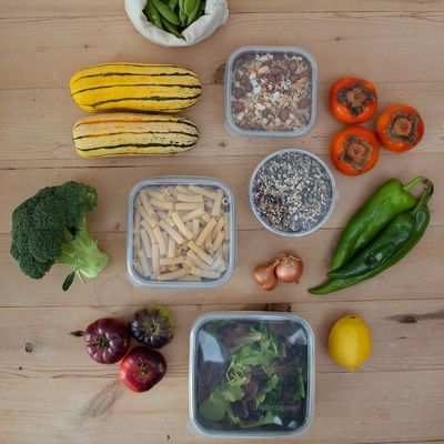 Large Simple Bento with Silicone Lid