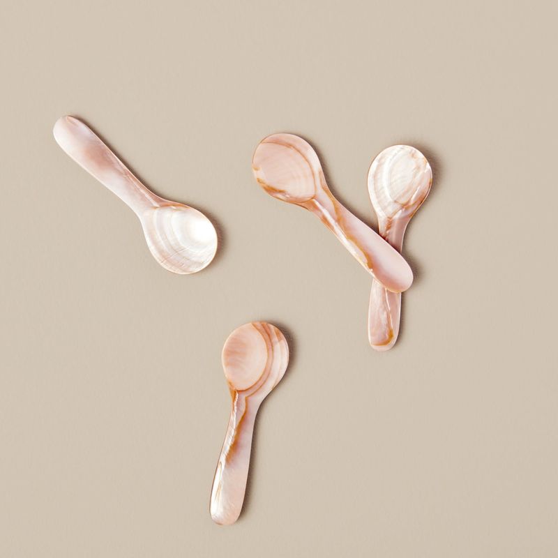Small Pink Shell Spoon
