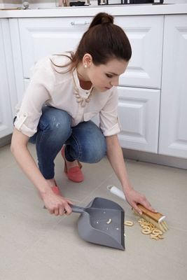 Dustpan &amp; Brush Set