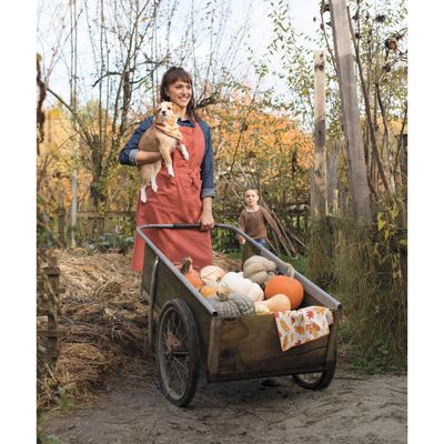 Clay Red Apron