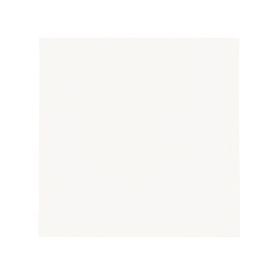 White Cloth Napkin