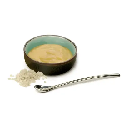 Tiny Condiment Spoon