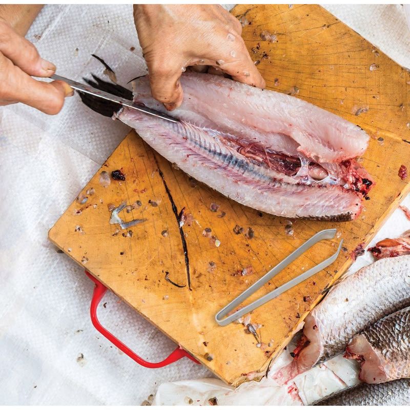 Fish Tweezer