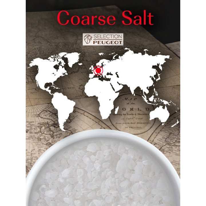 Peugeot Coarse Salt, 350g