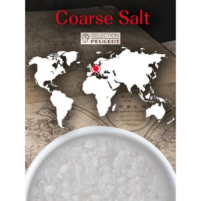 Peugeot Coarse Salt, 350g