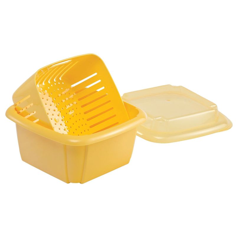Berry Box &amp; Colander
