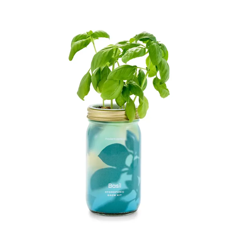 Basil Planter