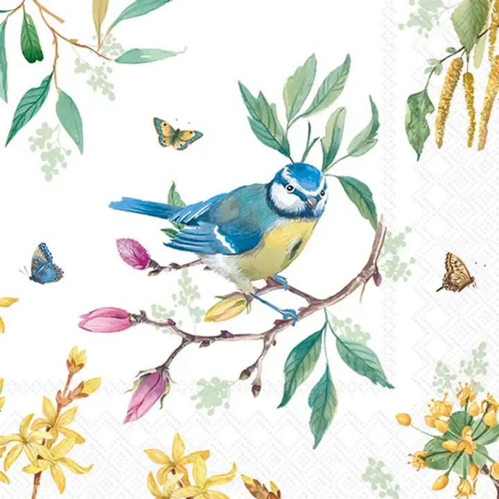 Bird Story Paper Cocktail Napkins, set of 20