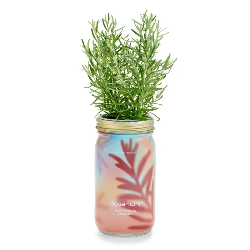 Rosemary Garden Jar