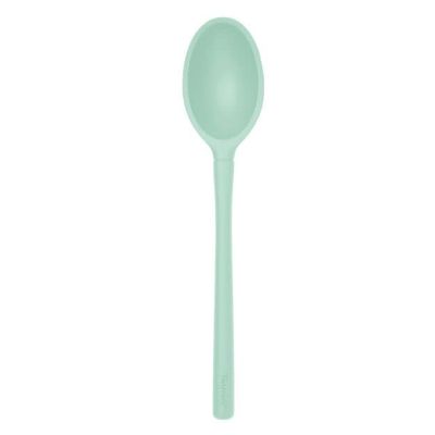 Aqua Silicone Spoon