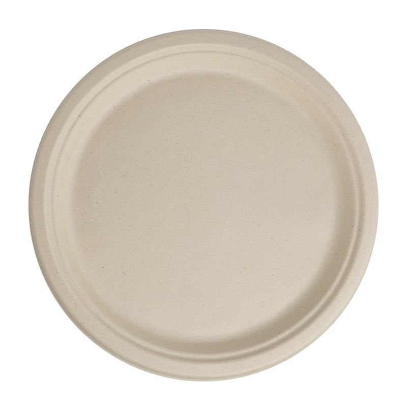 10" Compostable Plates, set of 50