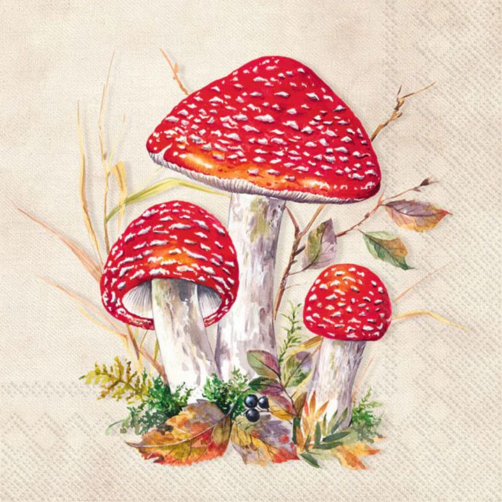 Toadstool Cocktail Napkins, set of 20