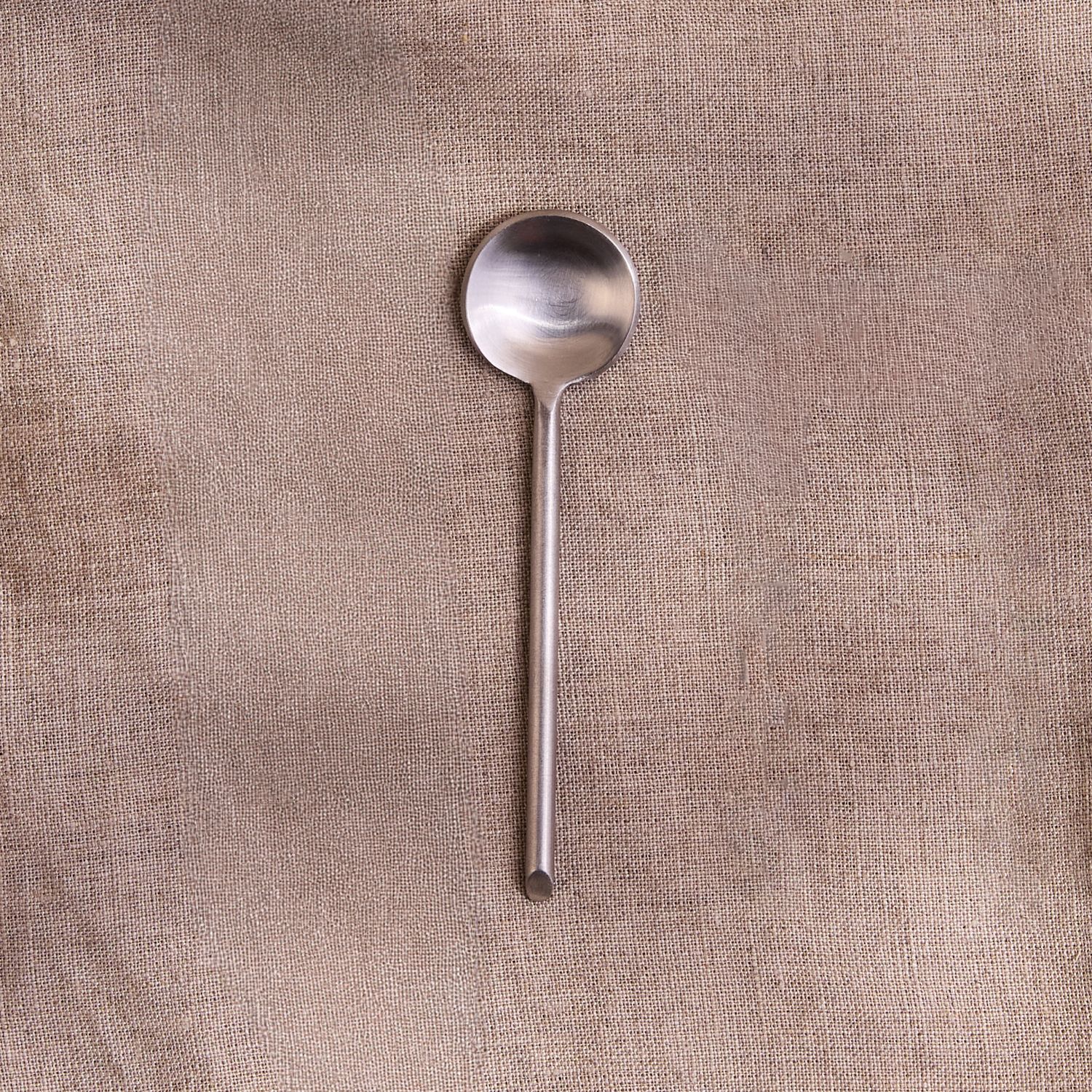 Stainless Condiment Spoon