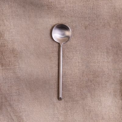 Stainless Condiment Spoon