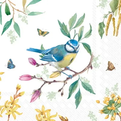 Bird Story Paper Cocktail Napkins, set of 20
