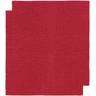 Red Cellulose Dishcloths, set of 2