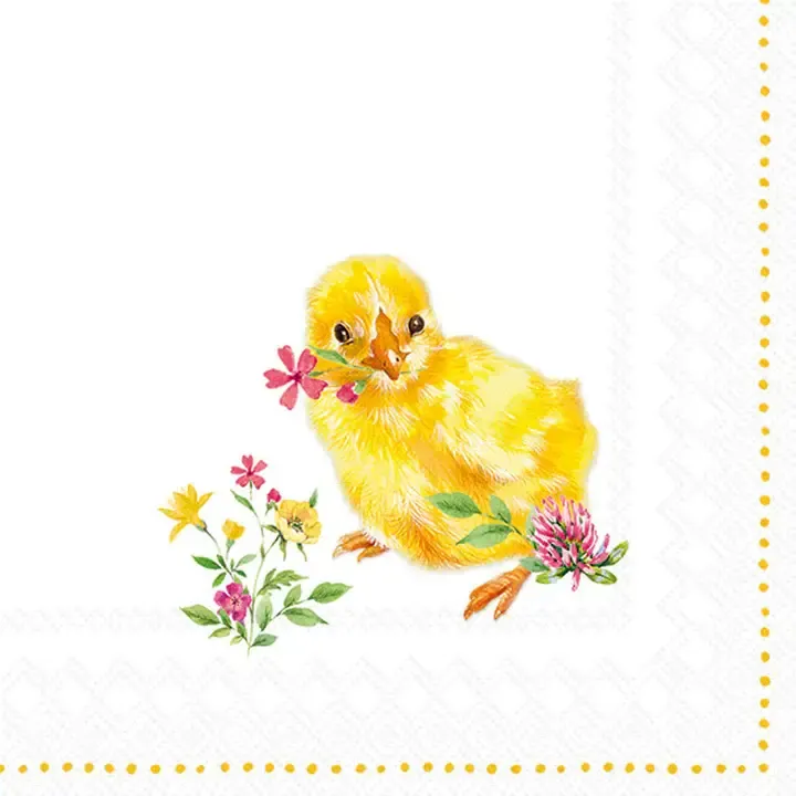 Chick Cocktail Napkins, set of 20