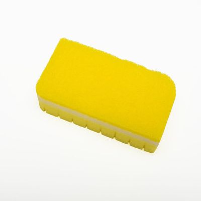 Soft Scrub Sponge