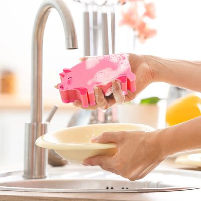 Pigs Sponges, set of 2