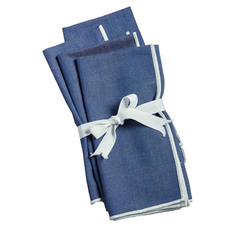 Blue Cloth Napkins with White Edging, set of 4